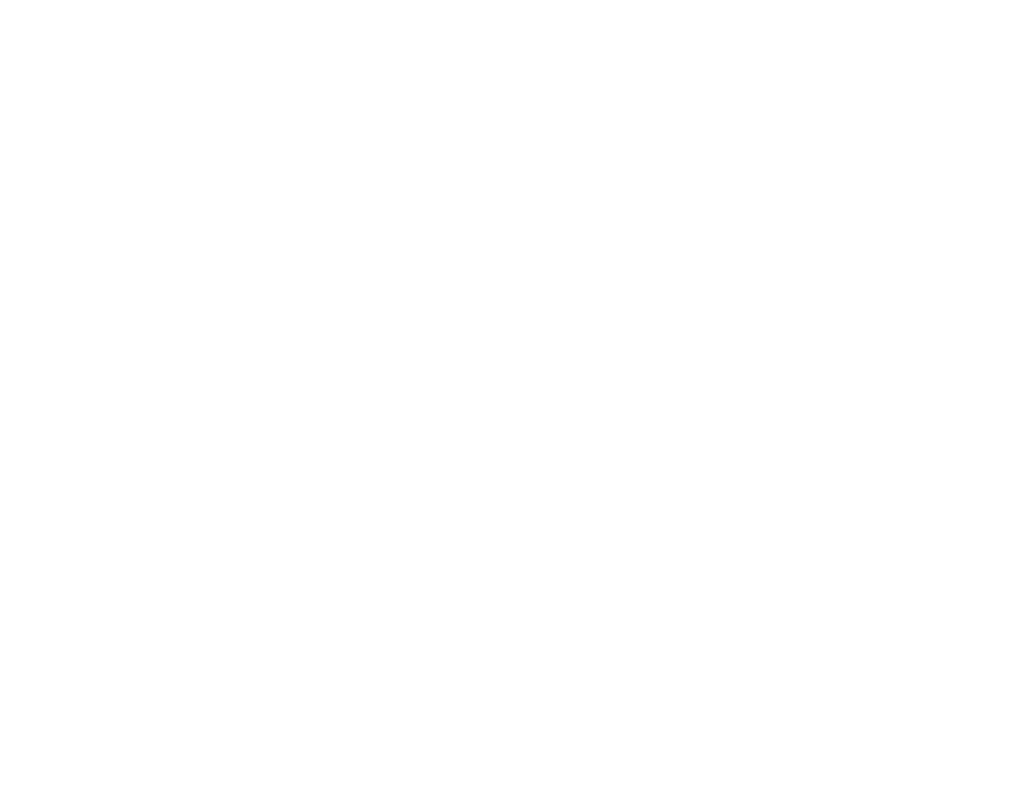 HZYLogo2W 1