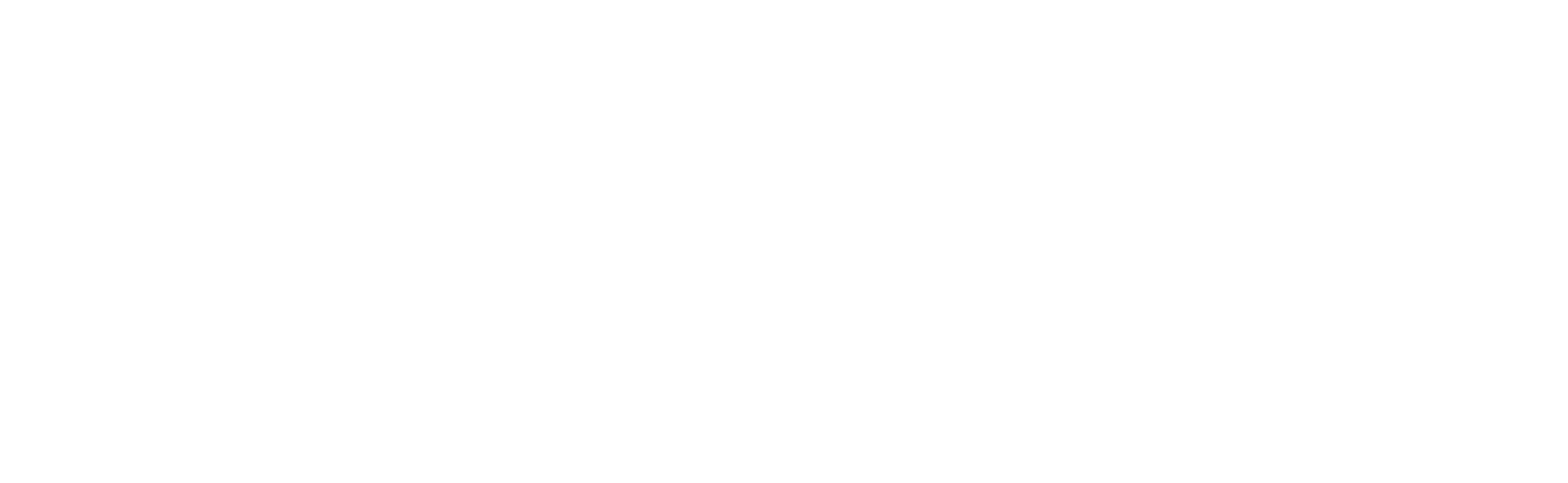 Orjan Nilsen Redesign Logo White Name